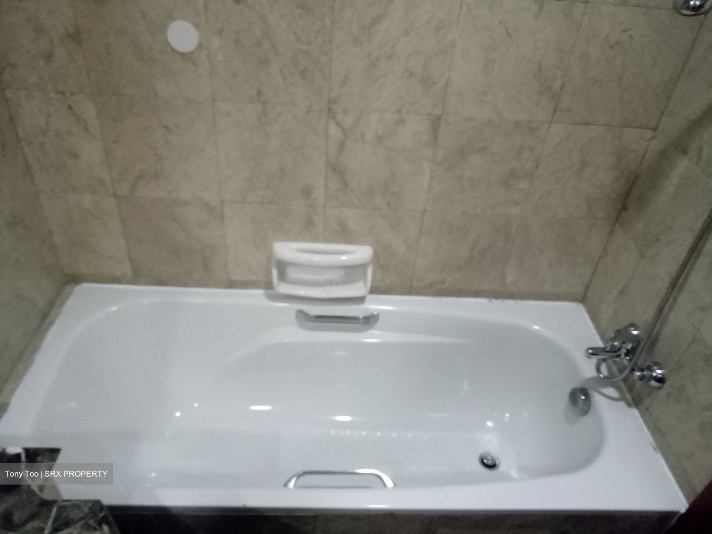 Tanglin View (D3), Condominium #504379231